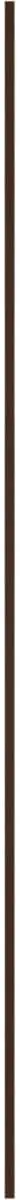Ekena Millwork 47"H x 3/8"T Bridgeport Adjustable Wood Decorative Slat Wall Panel Kit, Maple (contains 11 Slats   1 Straight Edge Starter Slat)