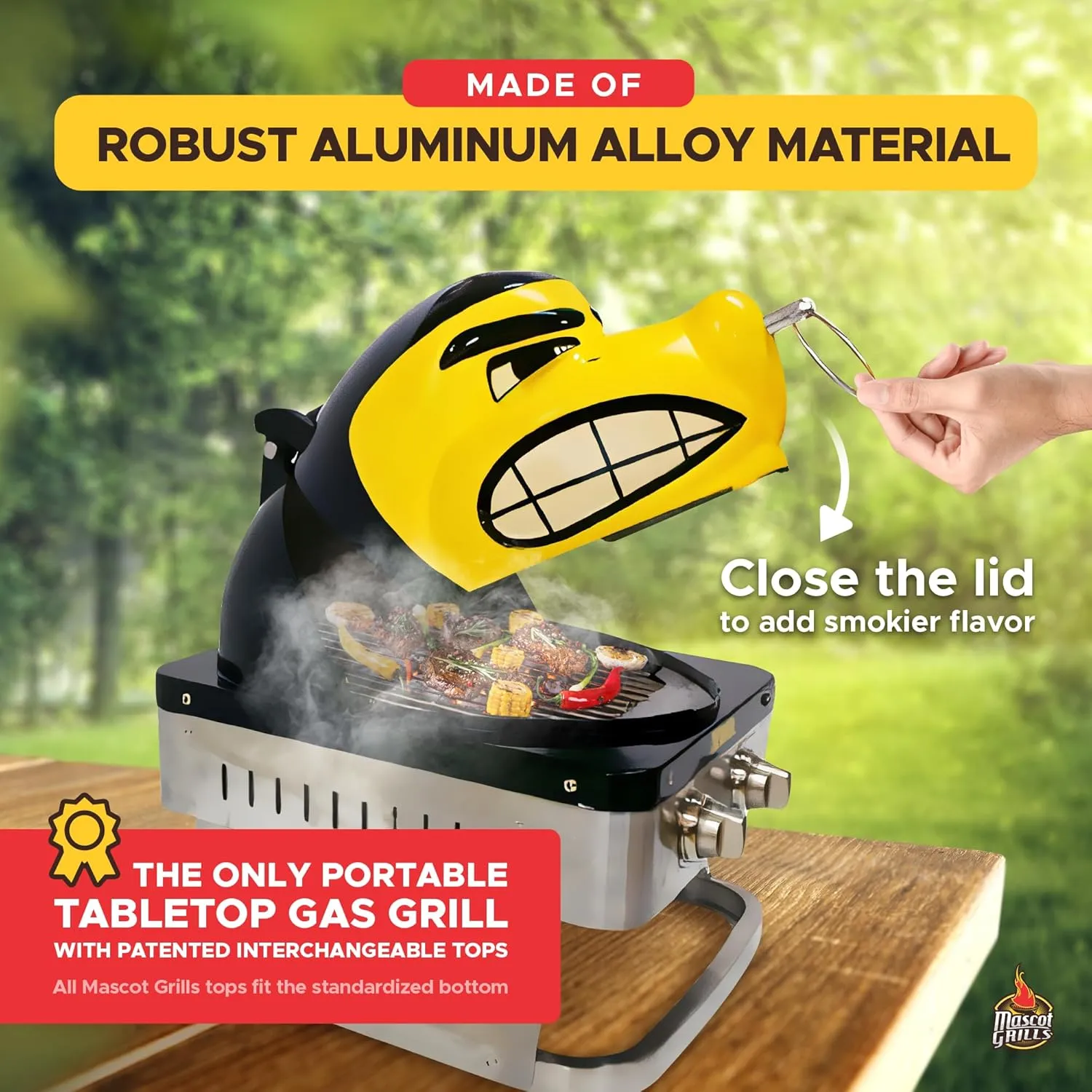Hawkeye Portable Propane Gas Grill, 16,000 BTU Tabletop Barbecue with 2 Burners, Dual Temp Control for Tailgating, RV, Backyard BBQ, and Camping