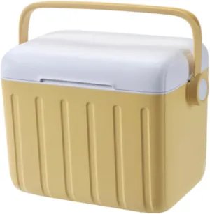 Insulated Cooler Box 6L Portable Ice Chest for Travel Outdoor Boat BBQ Picnic Camping Cream Yellow