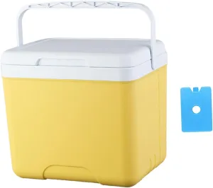 Insulated Cooler Organizer Cooling Bucket Fashion Container Ice Chest Box Camping Case for Barbecue Traveling Beach Groceries