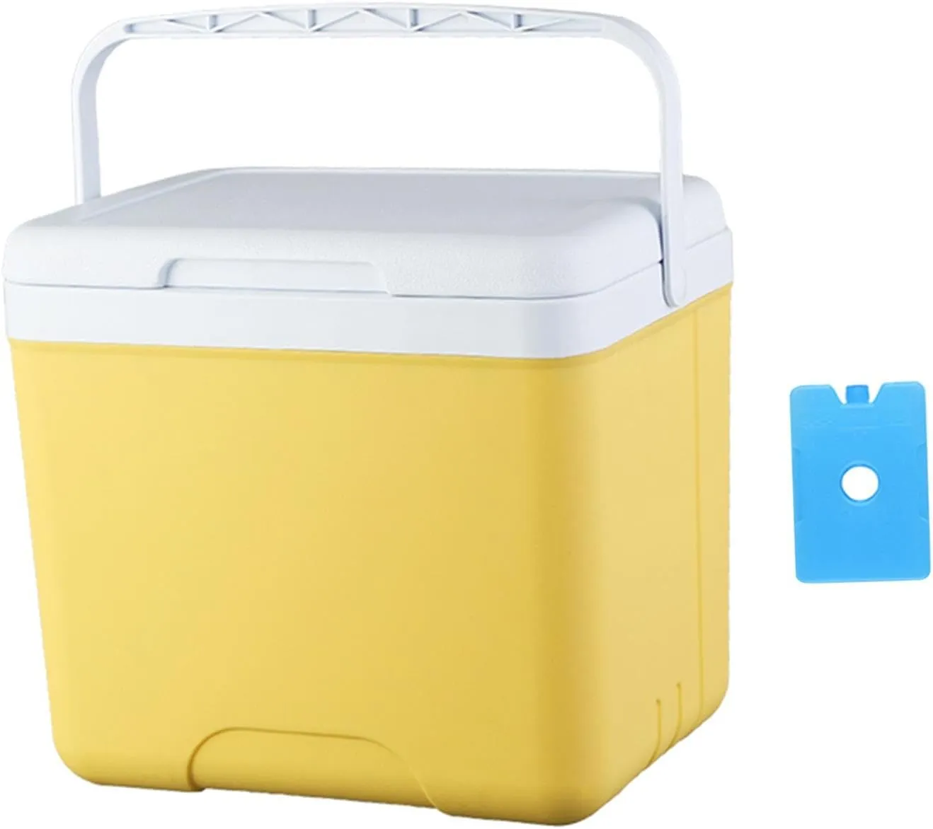 Insulated Cooler Organizer Cooling Bucket Fashion Container Ice Chest Box Camping Case for Barbecue Traveling Beach Groceries