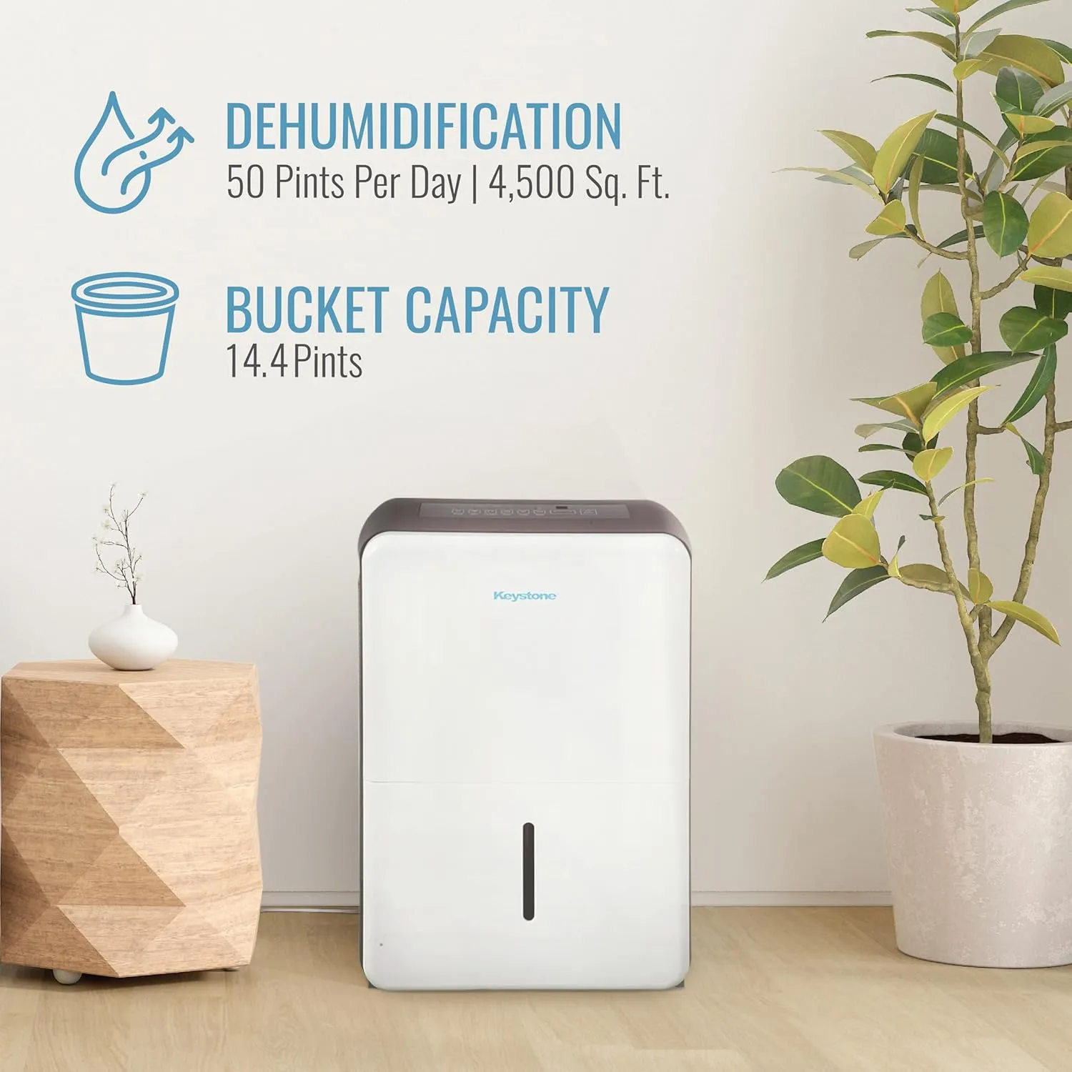 Keystone 50-Pint Portable Dehumidifier for Basement, Garage, Living Room, and Extra Large Rooms up to 4,500 Sq.Ft., 115V, Quiet Dehumidifier for Home and Moisture Absorber with Auto-Shutoff and Timer