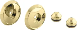 Kohler K-349-PB Forte/Bancroft Slide Bar Trim Kit, Vibrant Polished Brass