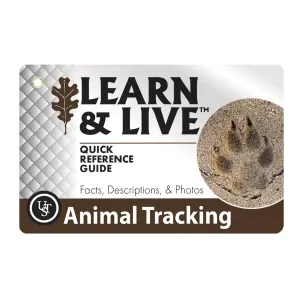 Learn And Live Cards - Animal Tracks