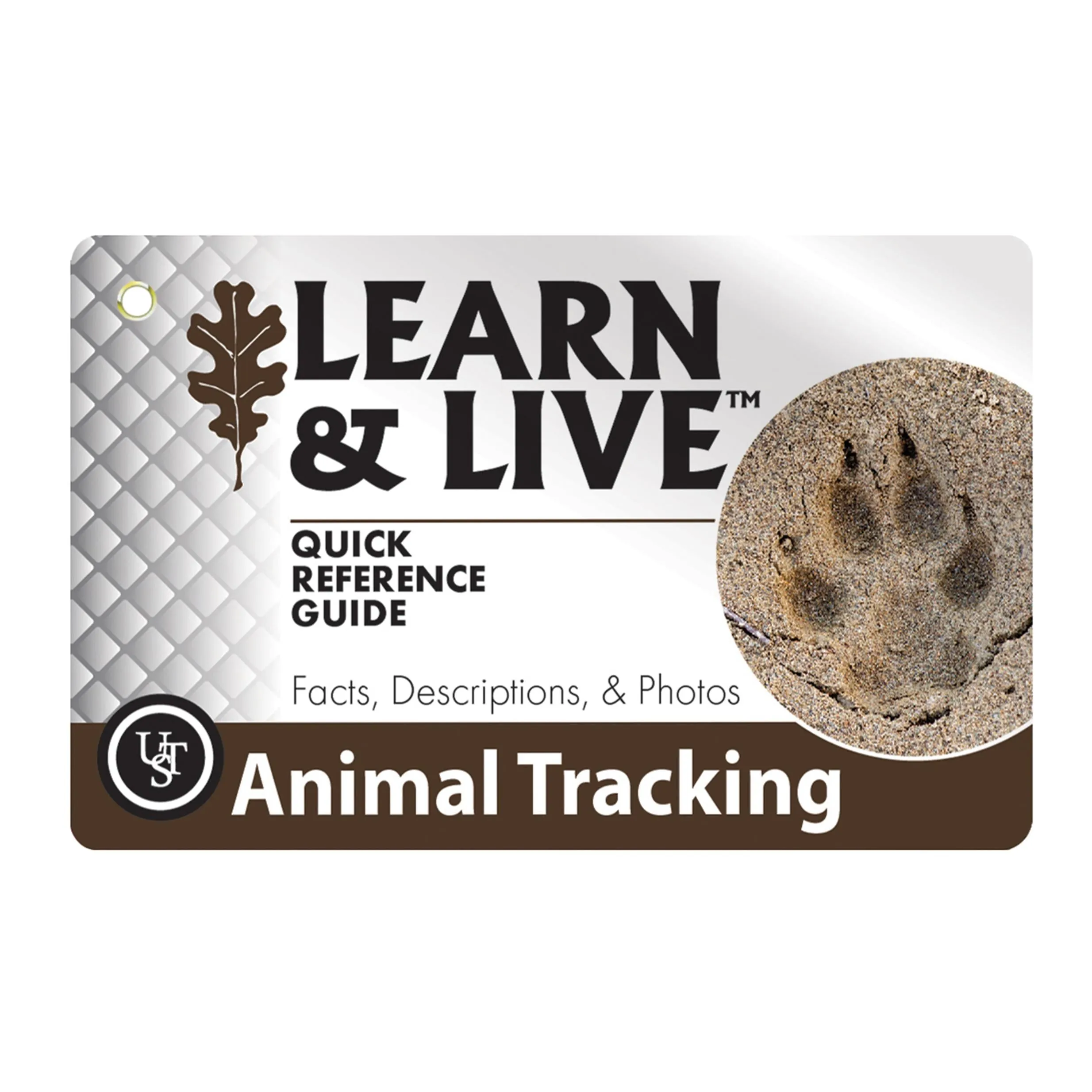 Learn And Live Cards - Animal Tracks