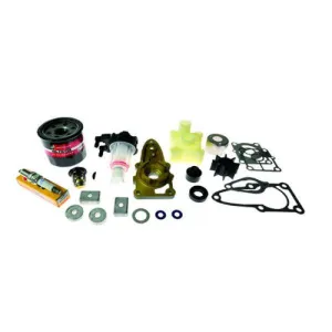 Mercury OEM 300-Hour kit for Mercury 15-20 EFI outboards s/n 0R833820 & above 8M0151470