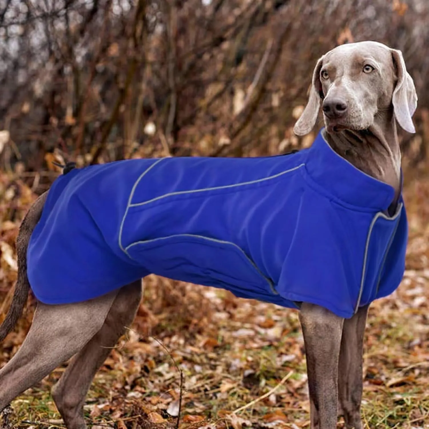 MIGOHI Dog Winter Jacket - Waterproof, 4XL, Blue - Great Dane, Mastiff - Snow Coat for Large Boys & Girls - Hiking & Camping