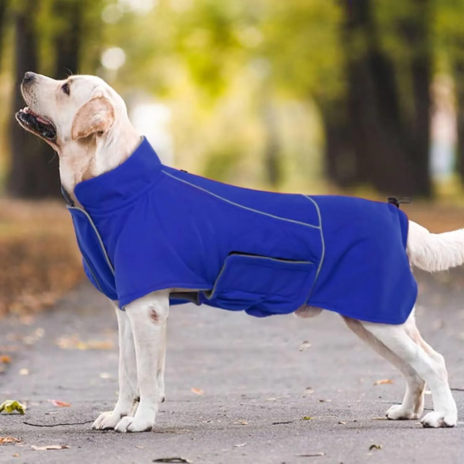 MIGOHI Dog Winter Jacket - Waterproof, 4XL, Blue - Great Dane, Mastiff - Snow Coat for Large Boys & Girls - Hiking & Camping