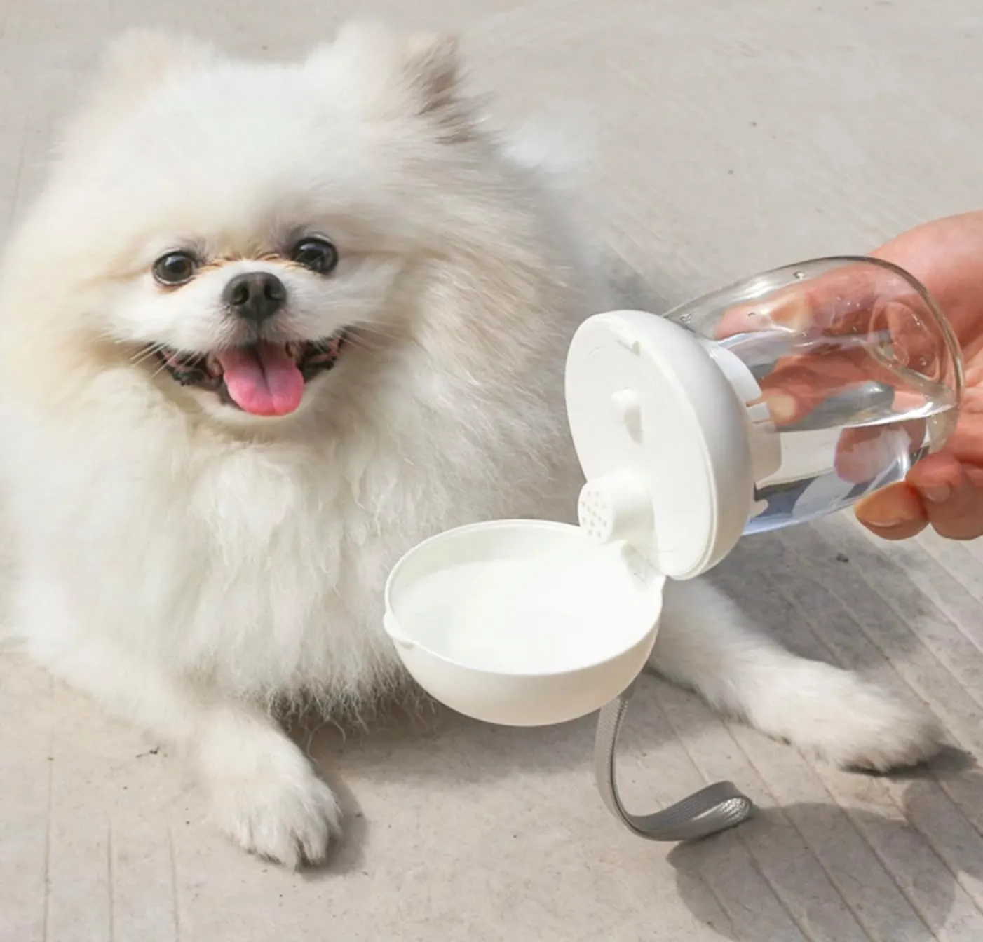 Mini portable outdoor travel water bottle dispenser for dogs and cats - Leak proof and lightweight - Perfect for walking hiking travelling (White, Standard)