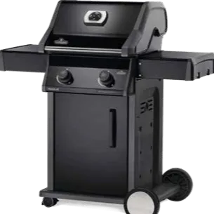 Napoleon Rogue 365 2 Burner BBQ