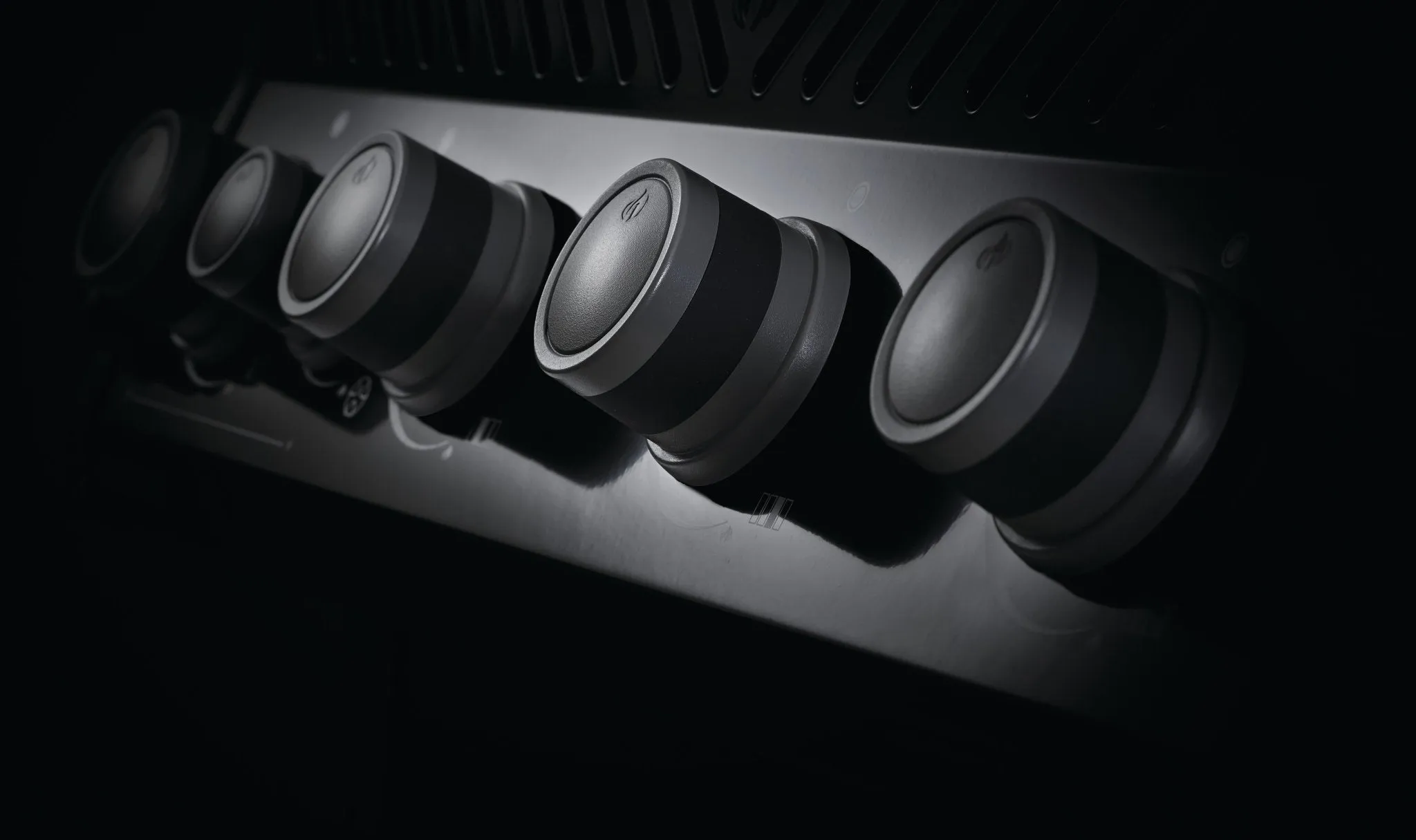 Napoleon Rogue 365 2 Burner BBQ
