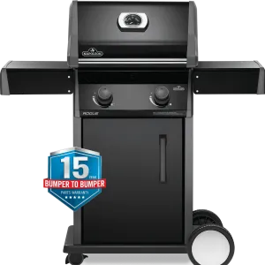 Napoleon Rogue 365 2 Burner BBQ