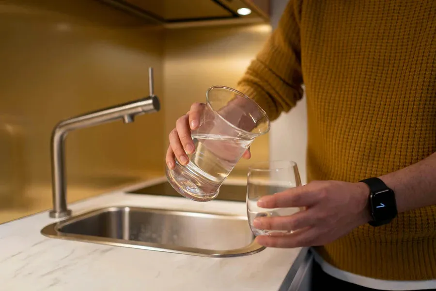 Natural Action MultiPure AquaVersa Sink Revitalizer with Filtration