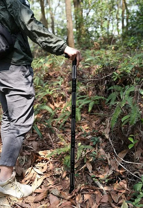 Outdoor Multi-purpose Walking Stick