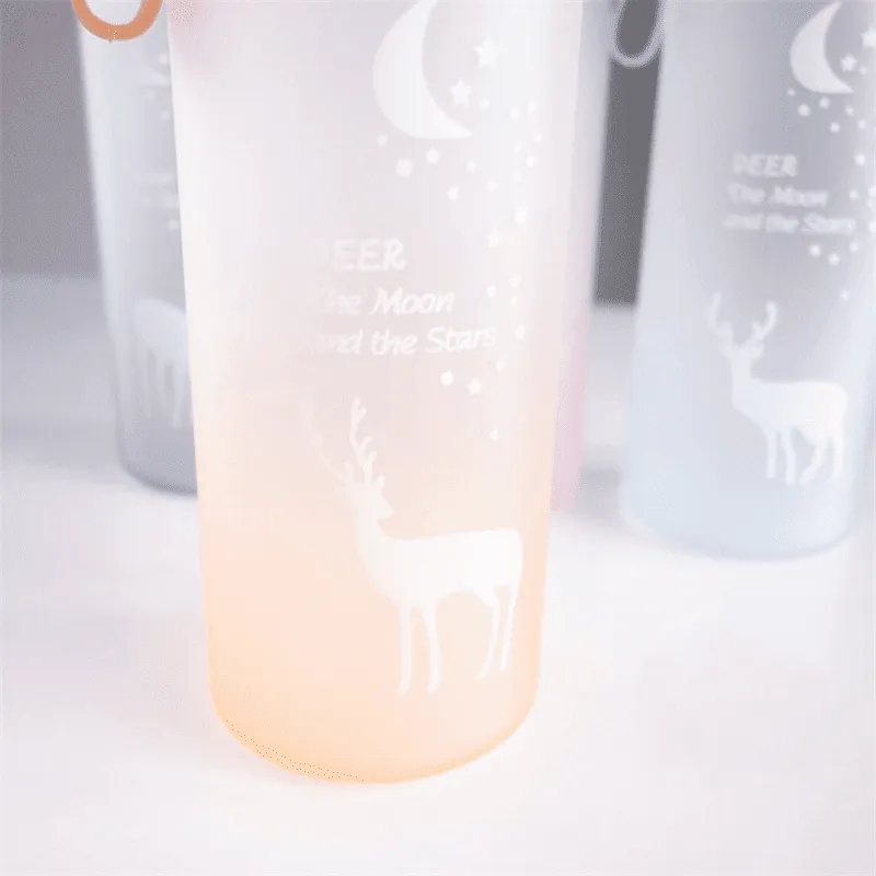 Portable Water Bottles