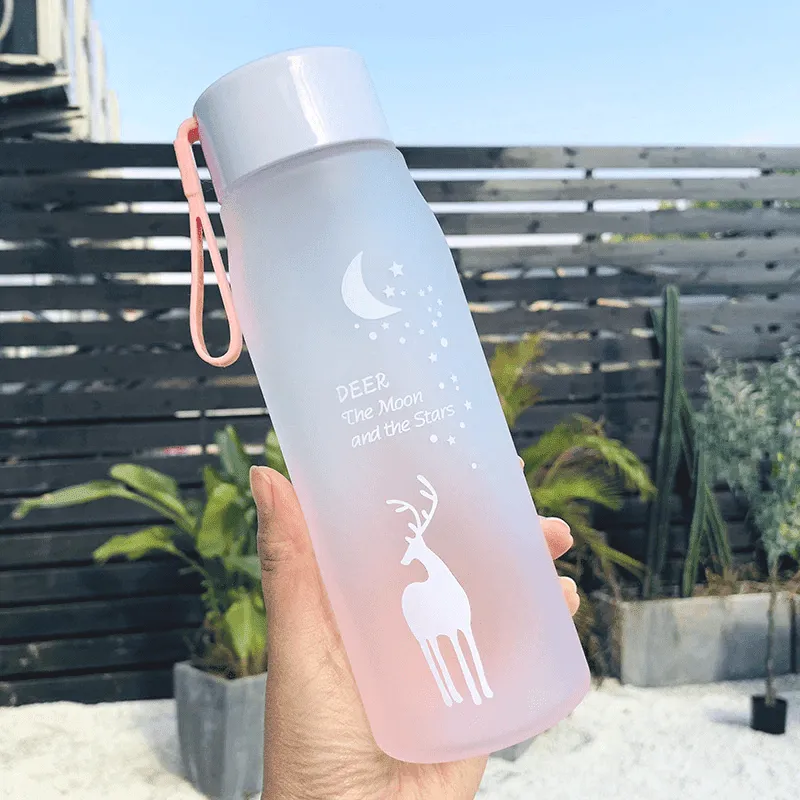 Portable Water Bottles