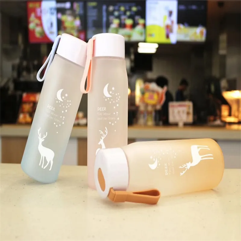 Portable Water Bottles