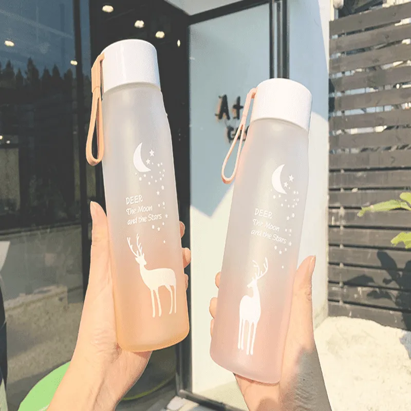 Portable Water Bottles