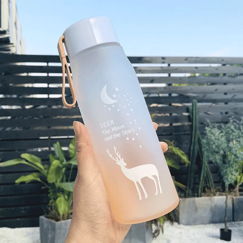 Portable Water Bottles