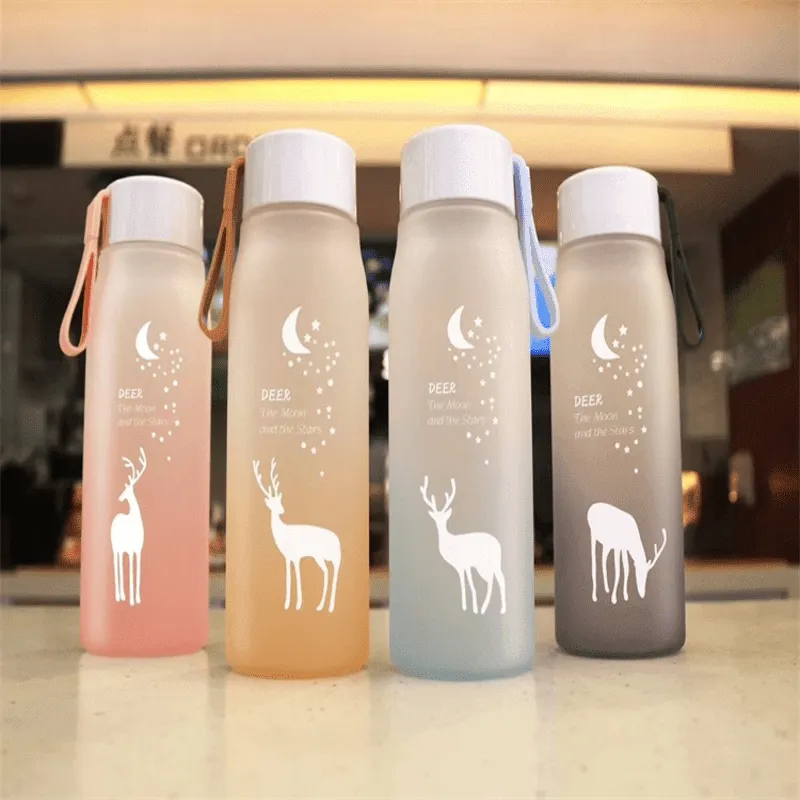 Portable Water Bottles