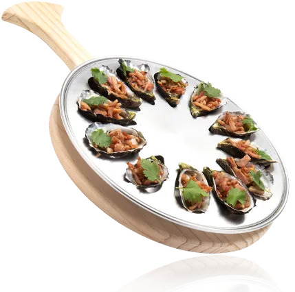 Spinners Wheel Premium Wi-Fi-enabled Metal Oyster - 080R Southern