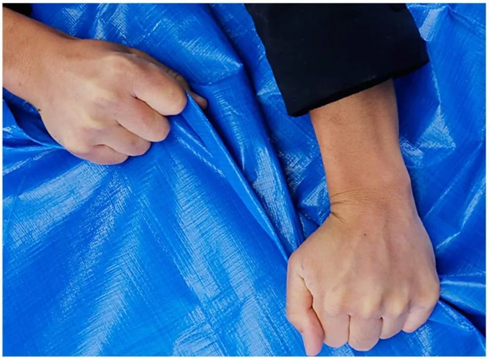 Tarpaulin Waterproof Heavy Duty Protect Materials from Moisture and Dust Lightweight Metal Eyelet Easy to Carry Outdoor Open Air Yard, 21 Sizes (Color : Blue, Size : 6x10m)