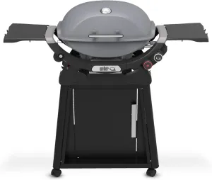 Weber Q 2800N  Liquid Propane Grill with Stand, Smoke Grey